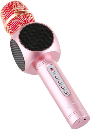 Amicool Wireless Microphone Karaoke