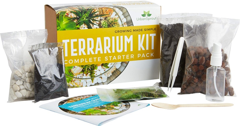 Plant Terrarium Kit