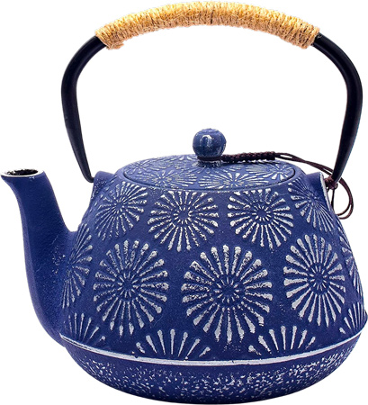 Cast Iron Teapot