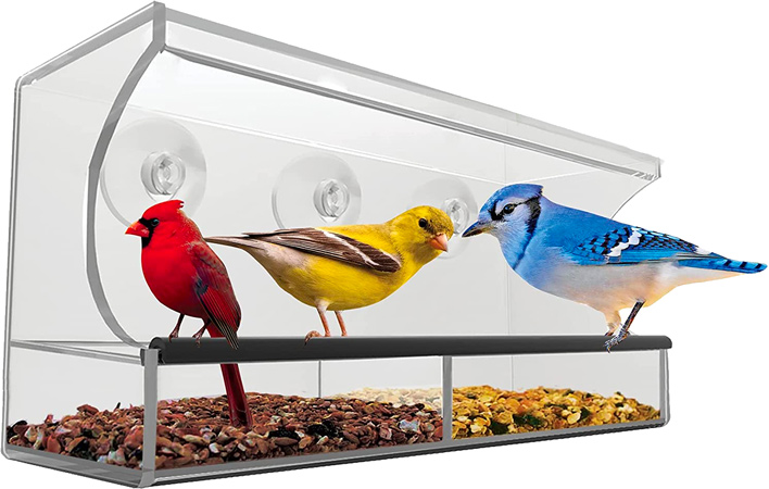 Clear Window Bird Feeder