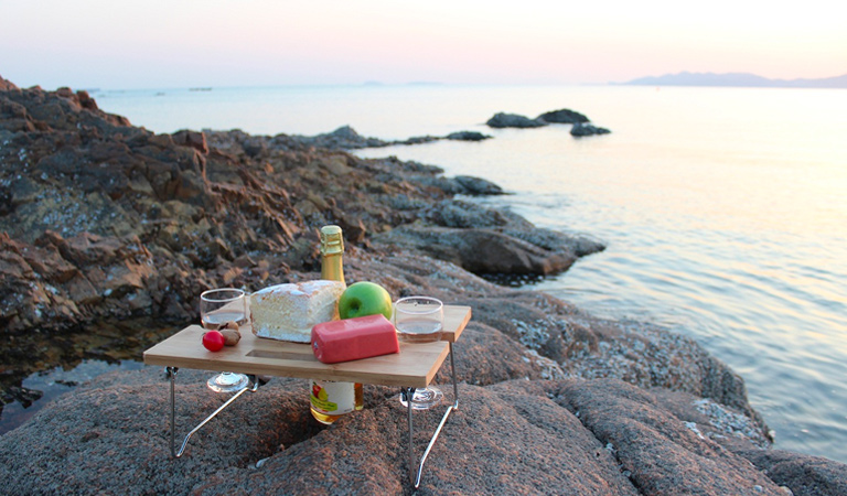 Portable Picnic Table