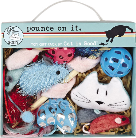 Pounce Toy Gift Box