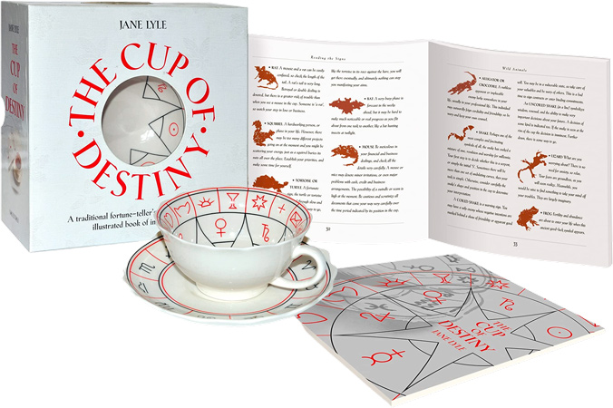 Tea Leaf Reading Kit