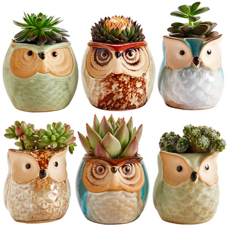 Ceramic Owl Pot Set