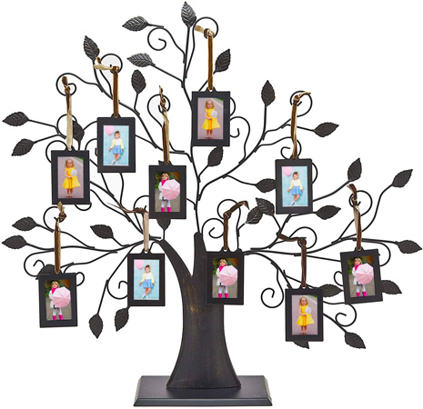 Family Tree Photo Holder