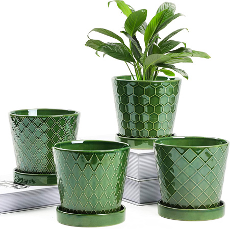 Indoor Ceramic Plant Pots