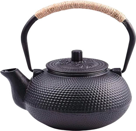 Japanese Tea Kettle