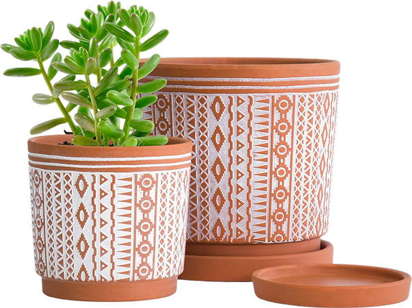 Terracotta Plant Pot Set