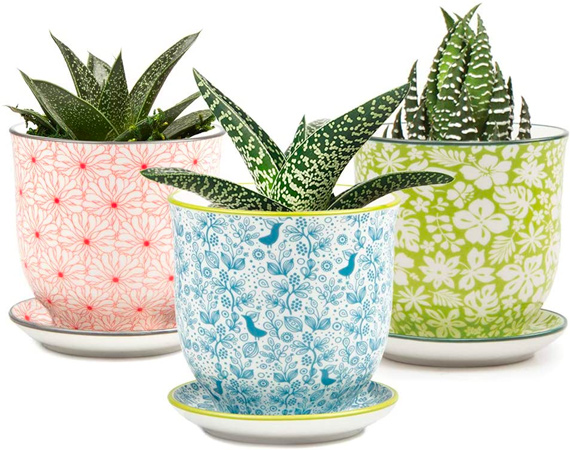 Colorful Ceramic Planters