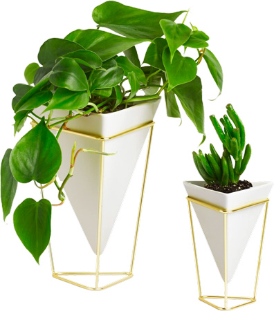 Modern Geometric Planters