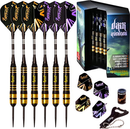 Professional Darts Set