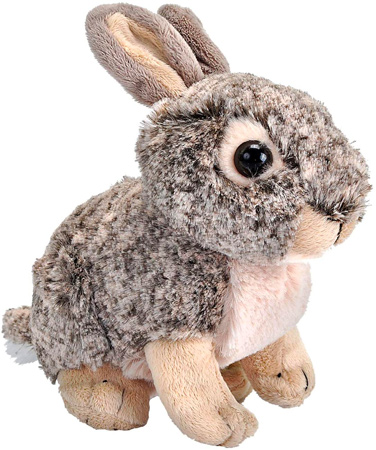 Bunny Plush Toy