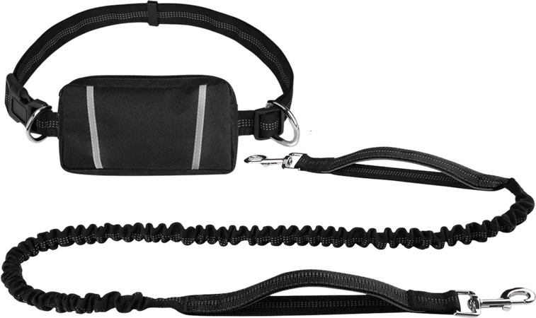 Dog Leash Belt