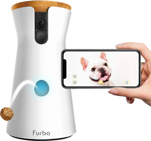 Dog Treat Camera