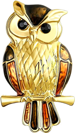 Golden Owl Pin