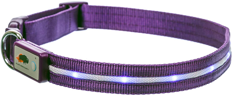 LED Dog Collar