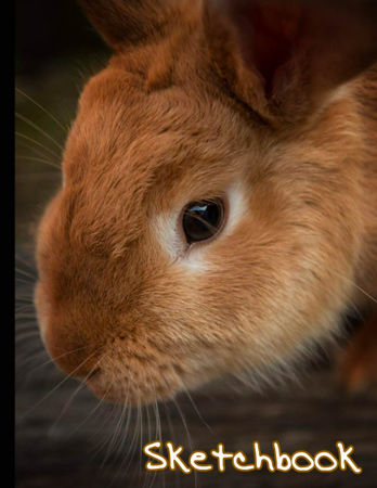 Rabbit Sketch Pad