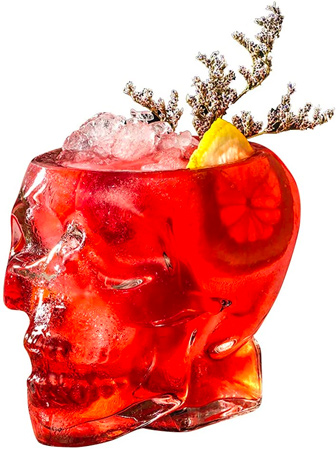 Skull Drinking Glass