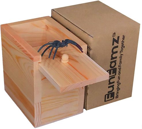 Spider Prank Box