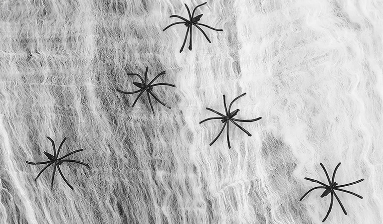 Stretchy Spider Webs