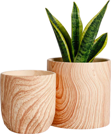 Ceramic Plant Pots