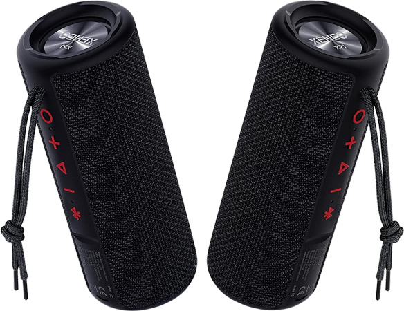 Dual Portable Speakers