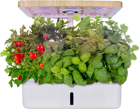 Indoor Growing System