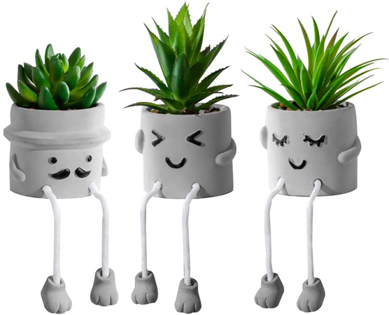 Smiling Succulent Pots