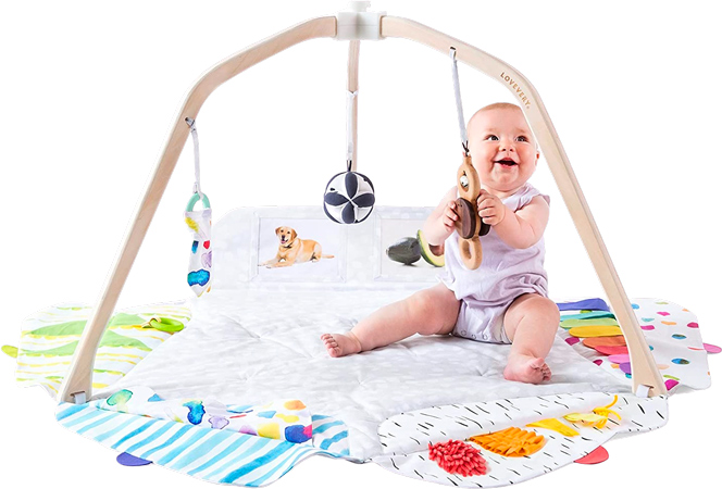 Baby Play Gym