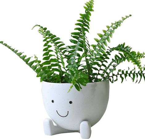 Cute Face Planter