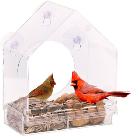 Clear Bird Feeder