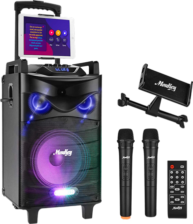 Party Karaoke Machine