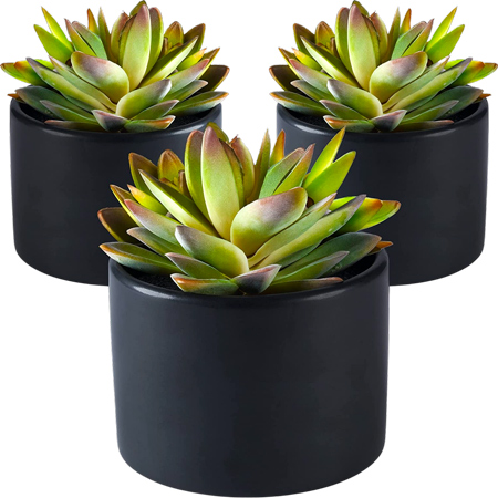 Artificial Succulent Trio