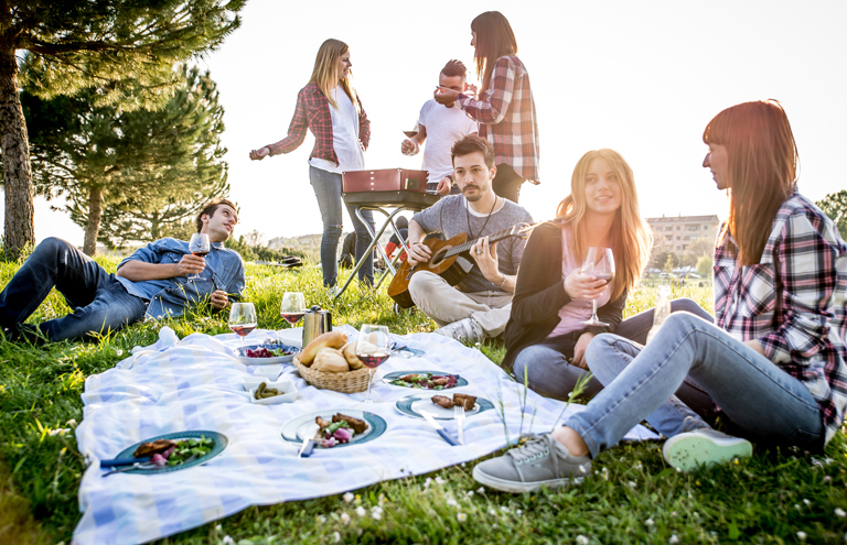 Friends celebrating a birthday with a picnic