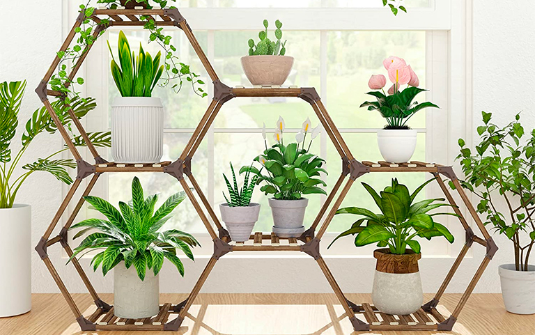 Indoor Plant Stand