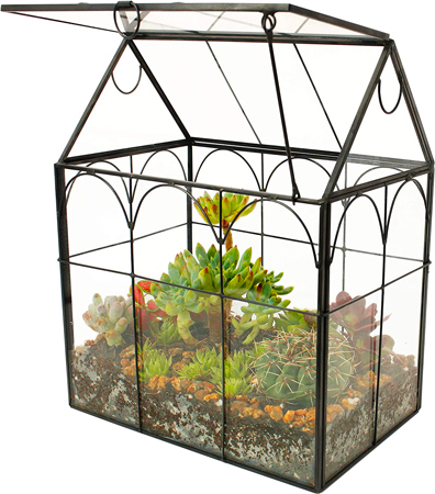 Mini Glass Greenhouse