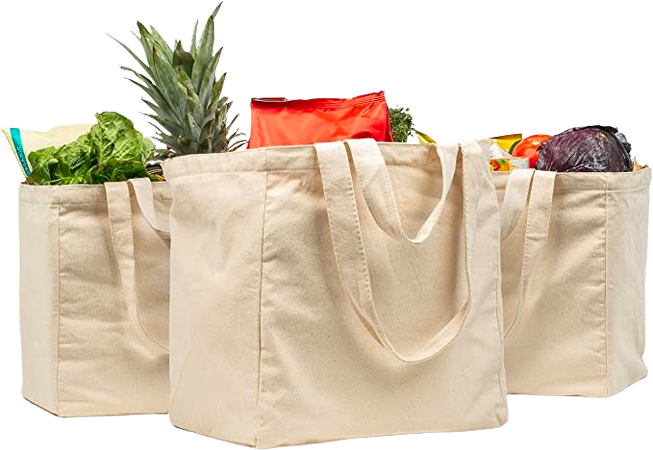 Reusable Shopping Bags