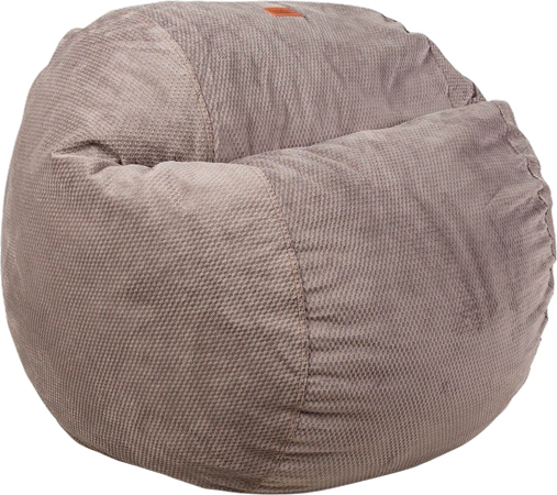 Convertible Bean Bag