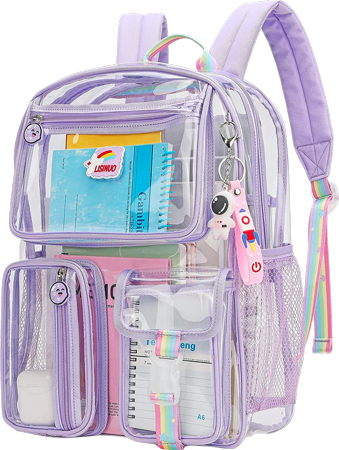 Transparent School Backpack