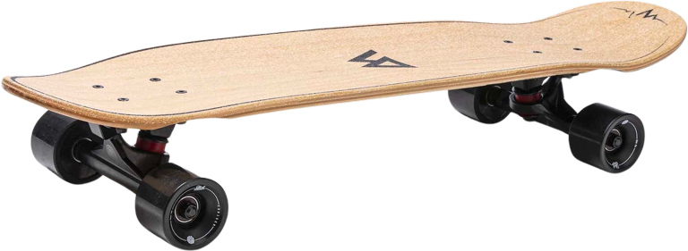 Longboard Cruiser Skateboard voor Beginners