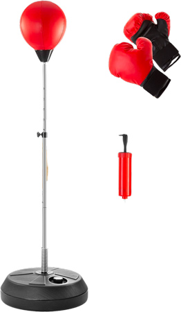 Punching Bag with Gloves