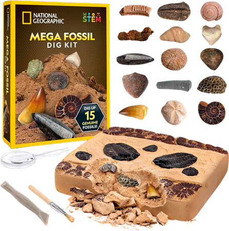 Prehistoric Fossil Excavating Kit