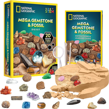 National Geographic Real Fossil & Gemstone Detective Kit