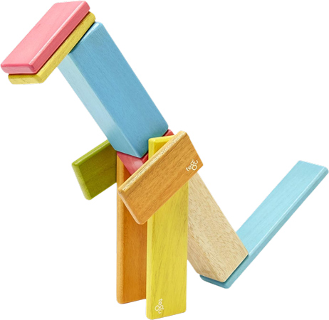 Magnetic Wooden Discovery Blocks