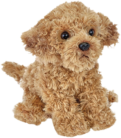 Stehender Labradoodle-Welpe