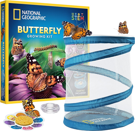 National Geographic Vlinder Kweekset