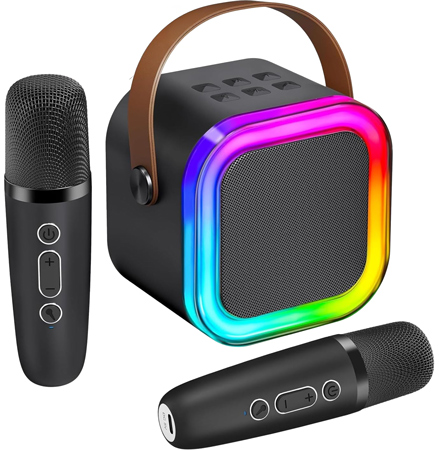 IROO Macchina per Karaoke Mini con Doppio Microfono Wireless
