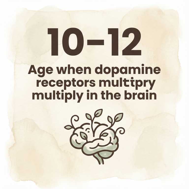 Stat showing ages 10-12 when dopamine receptors multiply in children's brains