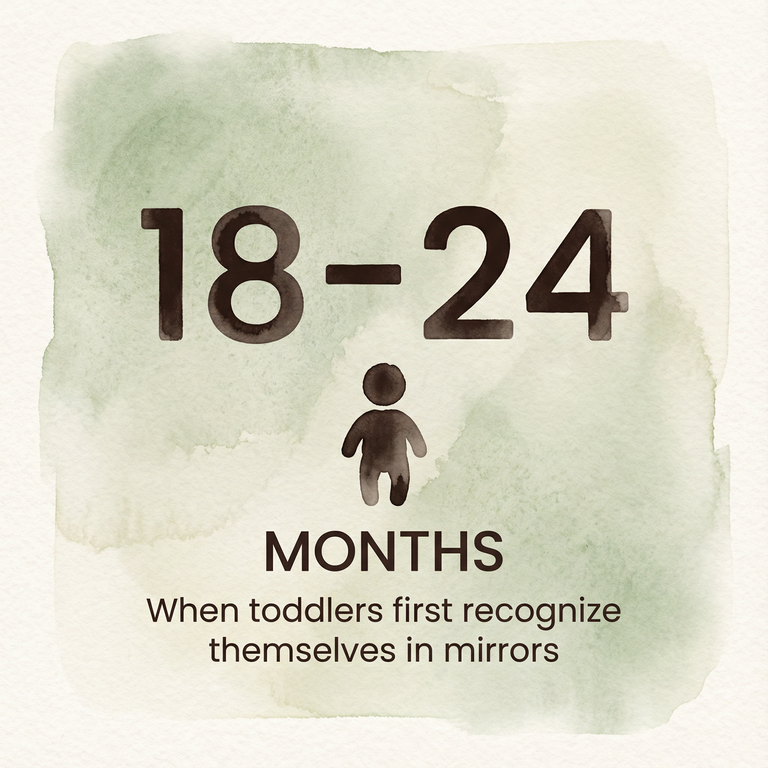 Stat box showing 18-24 months when toddlers first recognize themselves in mirrors