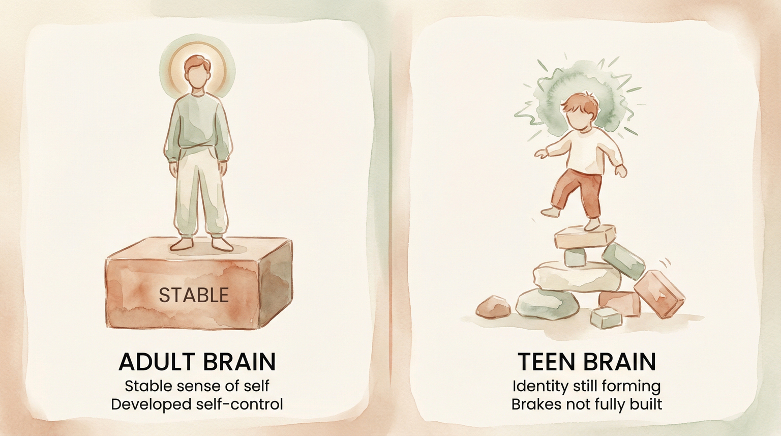 Comparison illustration showing adult brain with stable foundation versus teen brain still under construction